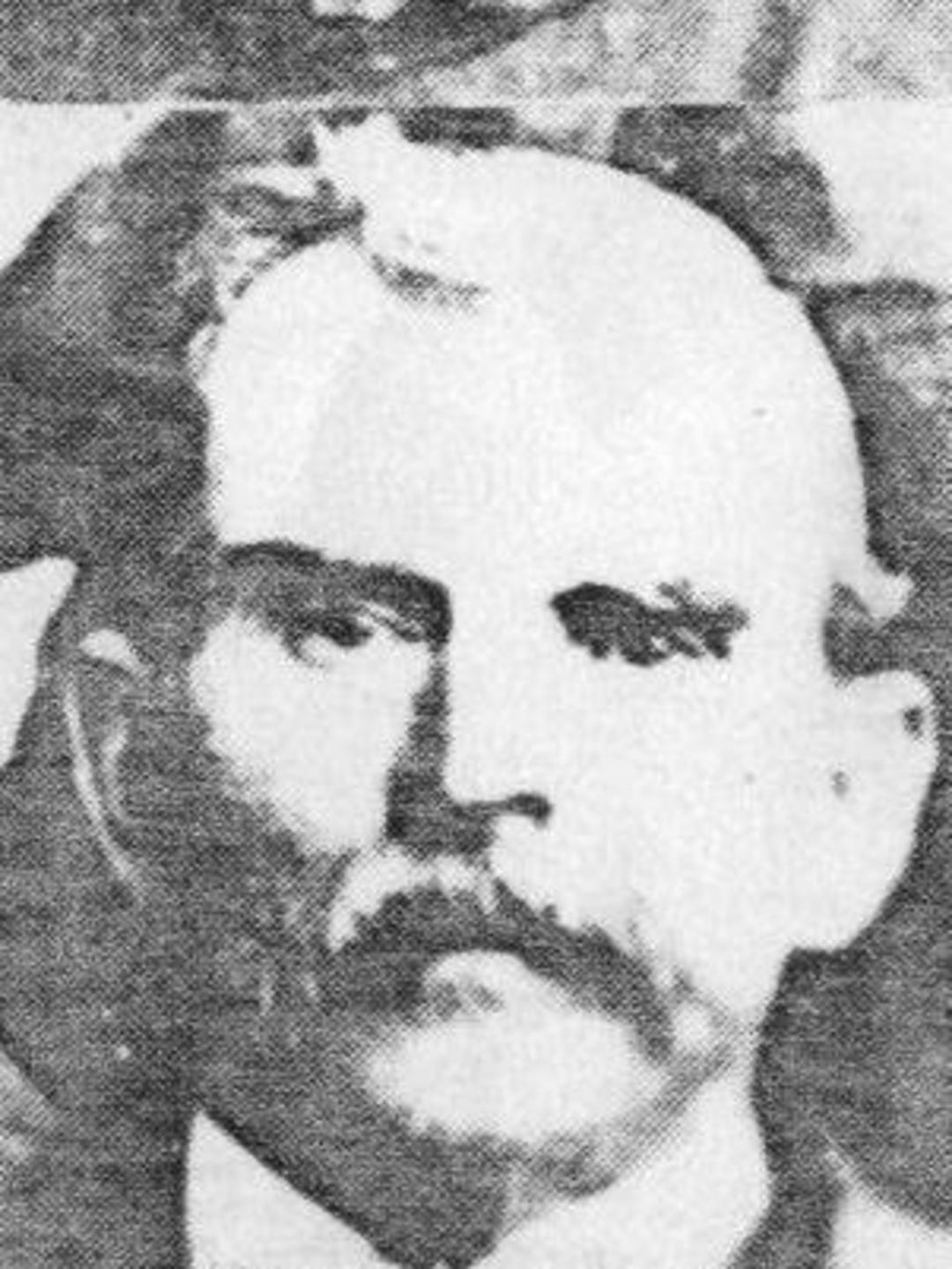George Platt Stoddard (1839 - 1901) Profile